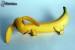 [obrazky.4ever.sk] bananovy jazvecik 150309
